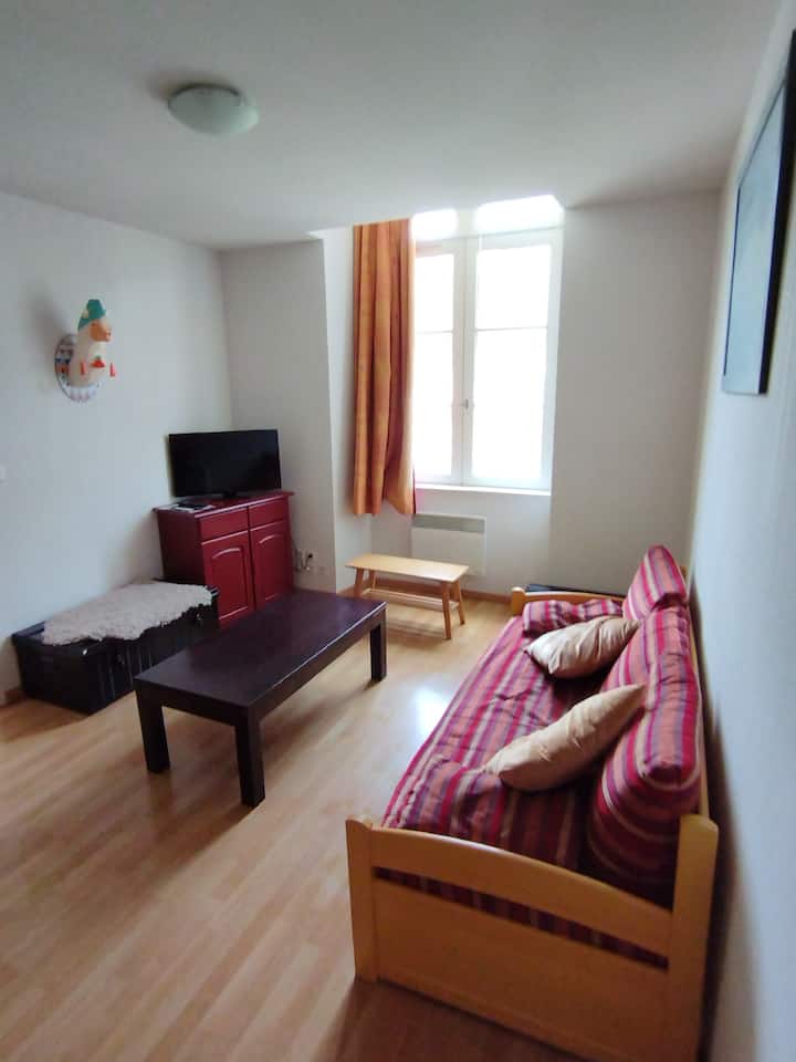 Château Ricard, App 3 Chambres - Saint-Geniez-d'Olt
