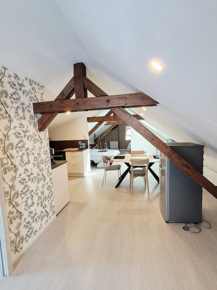 Appartement Cosy Proche Centre - Colmar