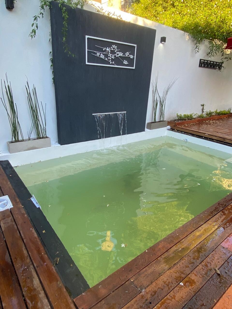 A mini pool features a tranquil water flow from a wall-mounted fountain, surrounded by vertical greenery. Wooden decking frames the pool, enhancing its connection to the outdoor space. Bright sunlight illuminates the area, creating a calming atmosphere.