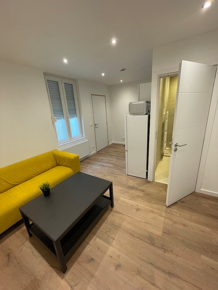 Appartement Longwy-haut Centre - Longwy