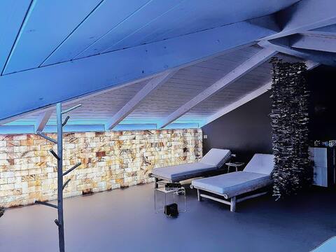 Luxory penthouse in the city center with spa