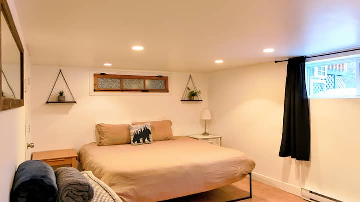 Basement bedroom with 1 king bed and 1 single bed. Total of 3 people 