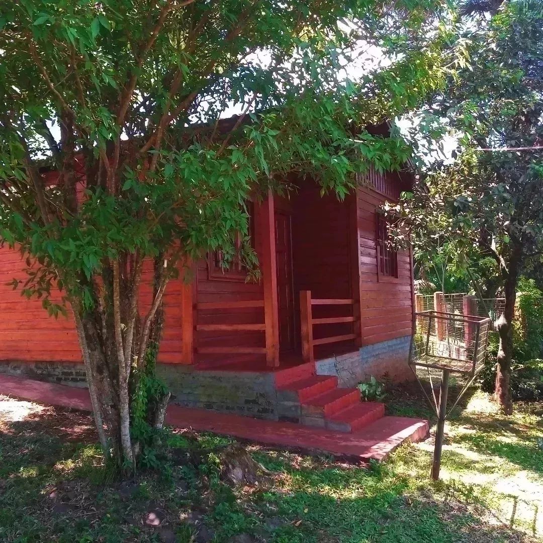 A charming wooden cabin is surrounded by lush greenery. Steps lead to a welcoming entrance, framed by trees. Light filters through the leaves, creating a serene atmosphere, while a fenced area is visible in the background.