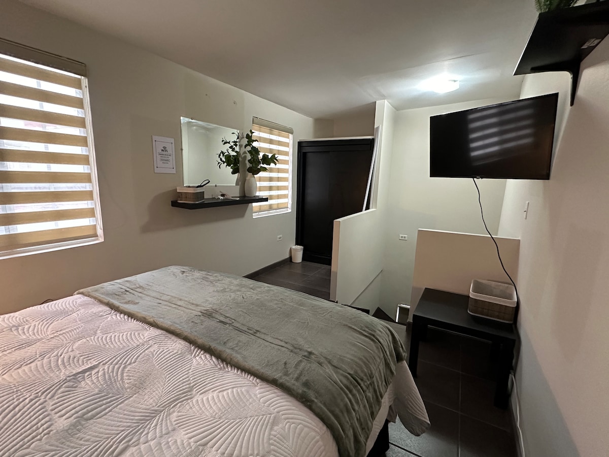 A sleeping area is presented with a spacious bed covered in soft bedding. Natural light filters through window shades. A mirror on the wall reflects the cozy decor, while a small shelf holds decorative plants. A wall-mounted TV is positioned for viewing convenience.
