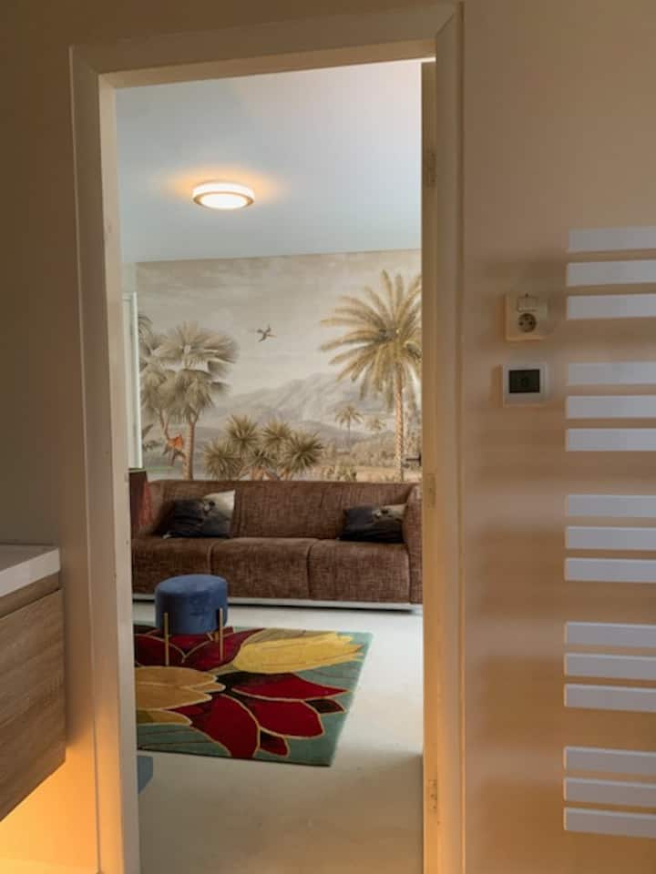 Romantisch Appartement Privé Hottub Sauna Gamesrm - Overijssel
