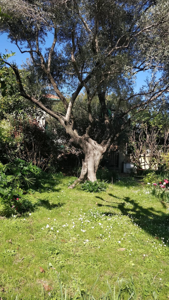 Jolie Maison Et Coin De Verdure En Centre Ville - Juvignac