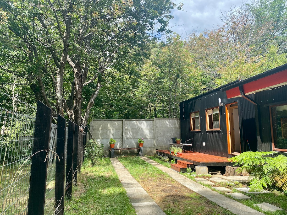 A well-maintained pathway leads from a grassy area towards a charming black Tiny House. Lush greenery surrounds the property, while potted plants add a touch of color. A spacious deck is visible, inviting relaxation amid the natural setting.