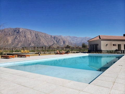 Popular Airbnb listing: Buena Vid Central: Between Vineyards and Hills in Cafayate