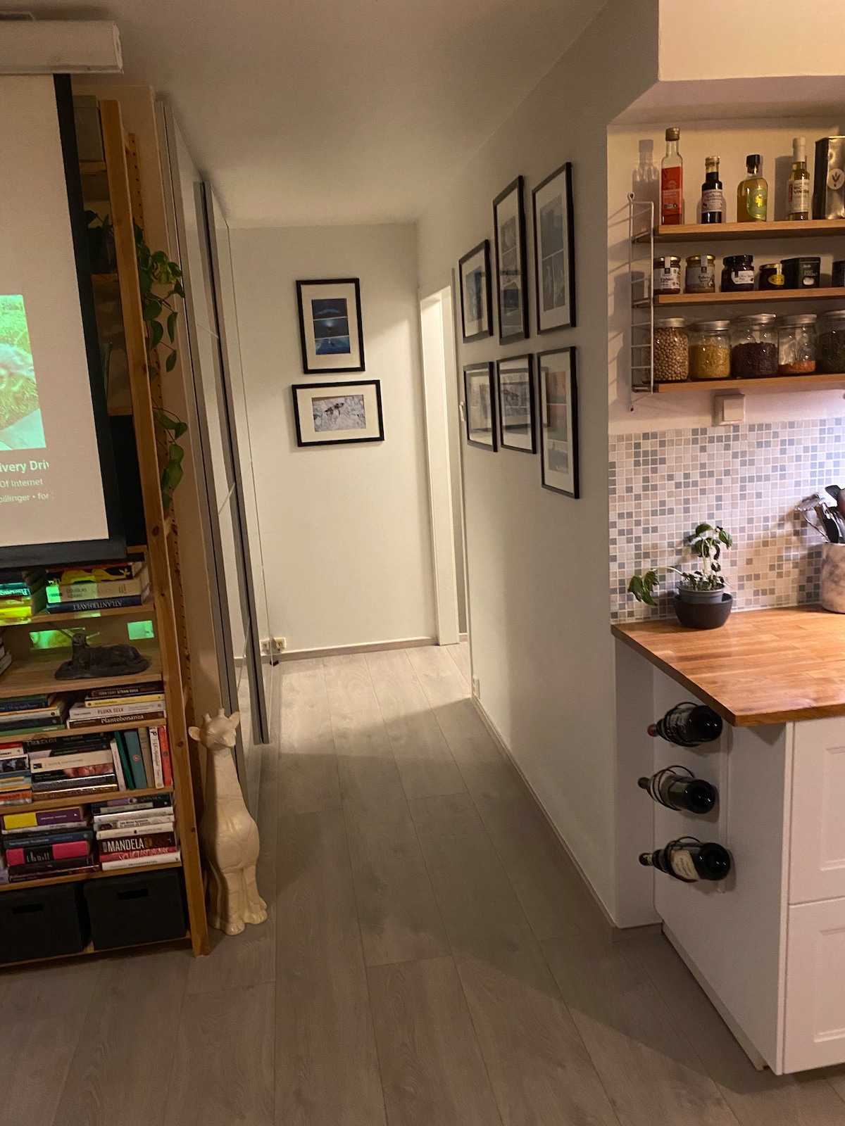 A narrow corridor connects various areas of the apartment, with framed artworks lining the walls. Shelves display books and decorative items, while the adjoining kitchen features a wooden countertop and organized glass jars. The space is brightened by natural light reflecting off the light-colored flooring.