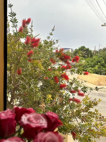 Guest favorite listing in San Giljan