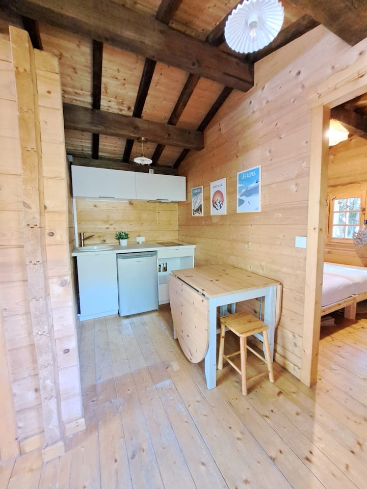 Charmant Mini Chalet Entre Lac Et Montagne - Menthon-Saint-Bernard