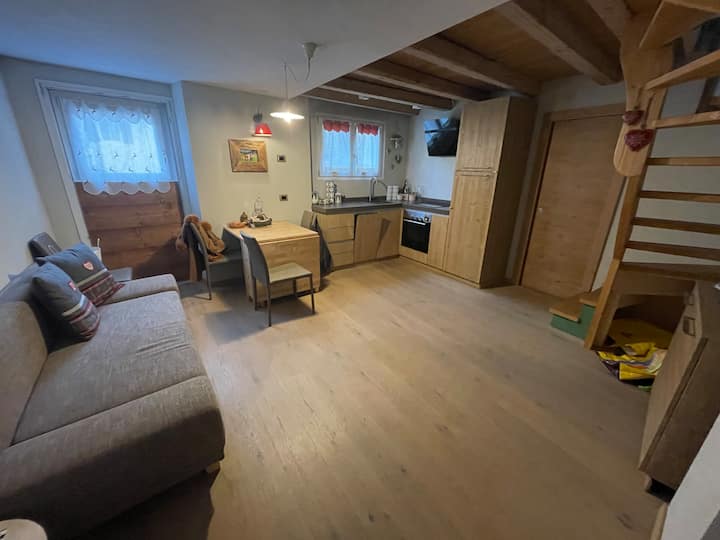 Delizioso Appartamento Nel Centro Di Moena - Vigo di Fassa