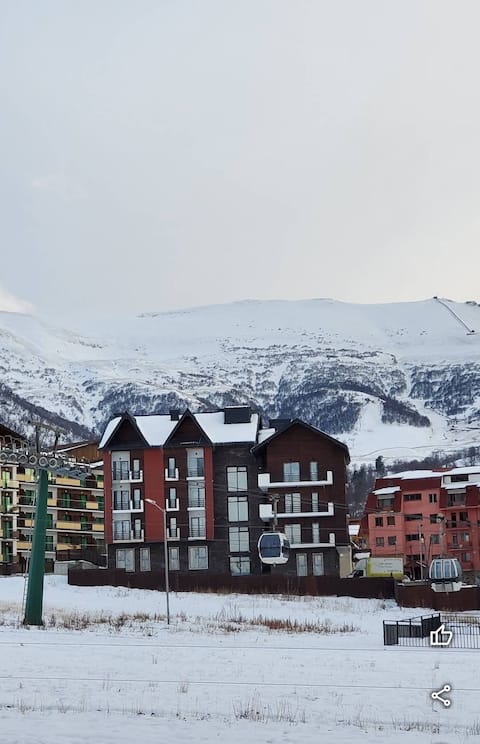 Bakuriani Didveli
