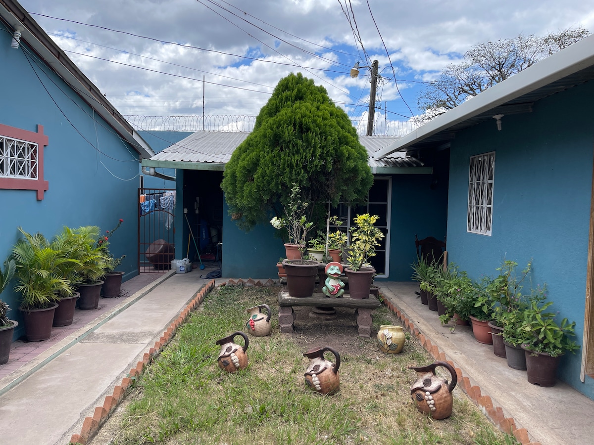 A serene garden area is surrounded by vibrant blue walls. A large tree is central, accompanied by potted plants and decorative pottery around the space. A pathway leads towards the entrance, where additional greenery is visible in the background.