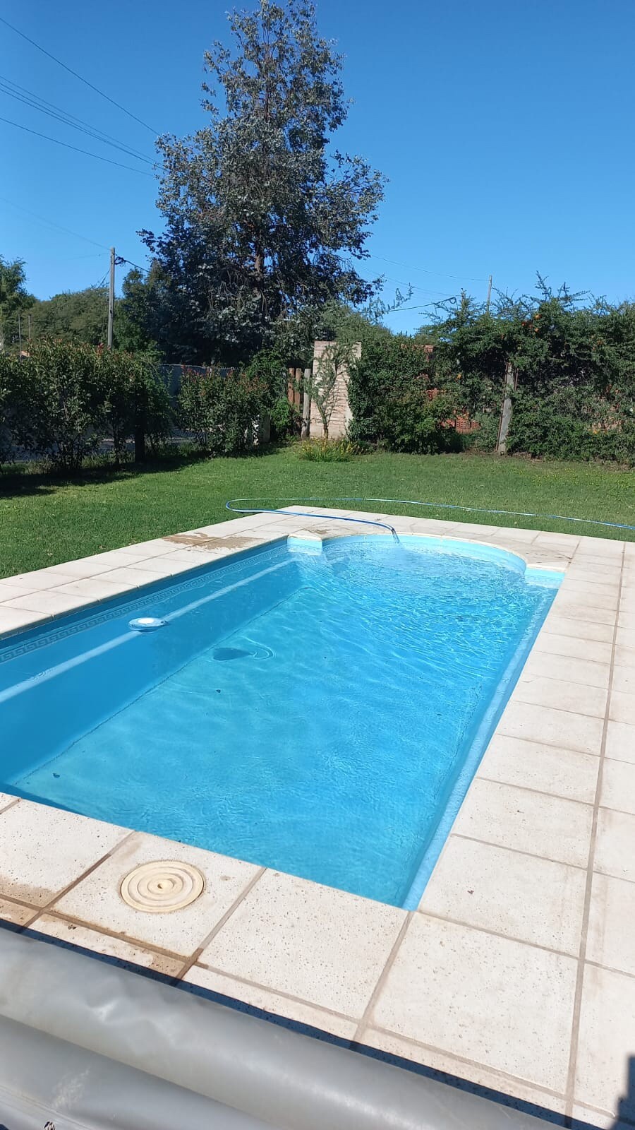 A sparkling swimming pool is framed by light-colored tiles, surrounded by a well-maintained grassy area. Lush greenery and trees provide a natural backdrop, contributing to a serene outdoor setting.