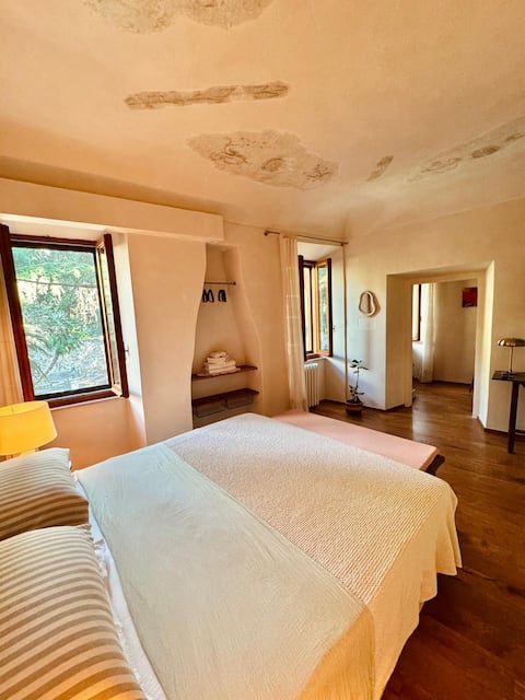 Suite Atelier Arringo - historic center