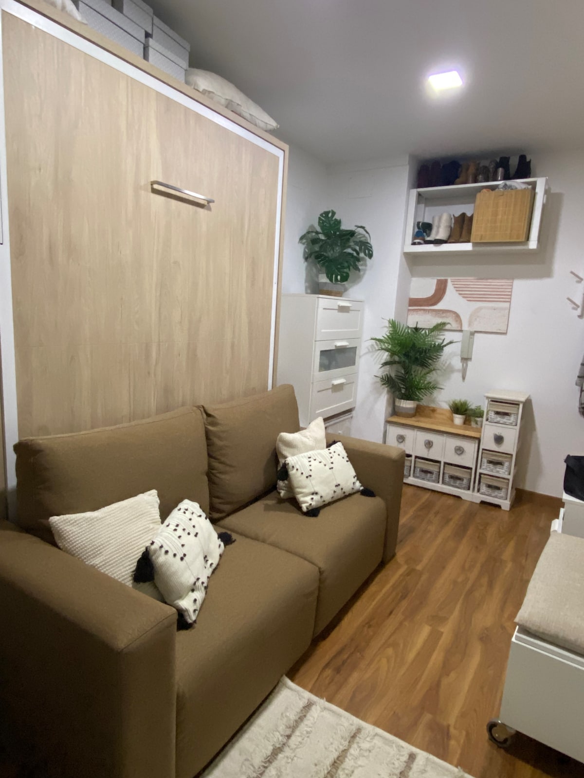 A cozy seating area features a brown sofa adorned with patterned throw pillows. In the background, a wall-mounted storage unit with various compartments is visible, alongside decorative plants and a stylish display of items. Warm wooden flooring adds to the inviting atmosphere.
