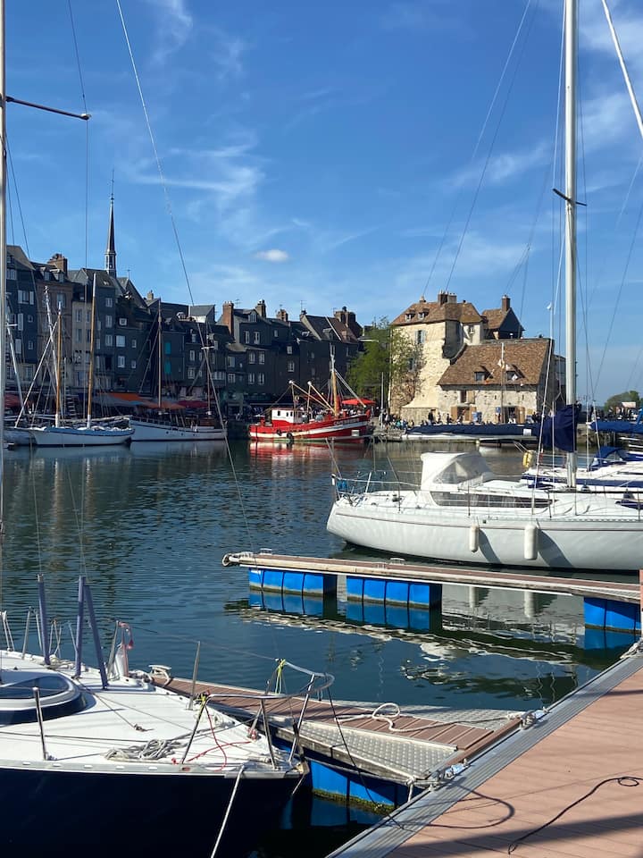 Maison Pimprenelle Appartement Classé - Honfleur