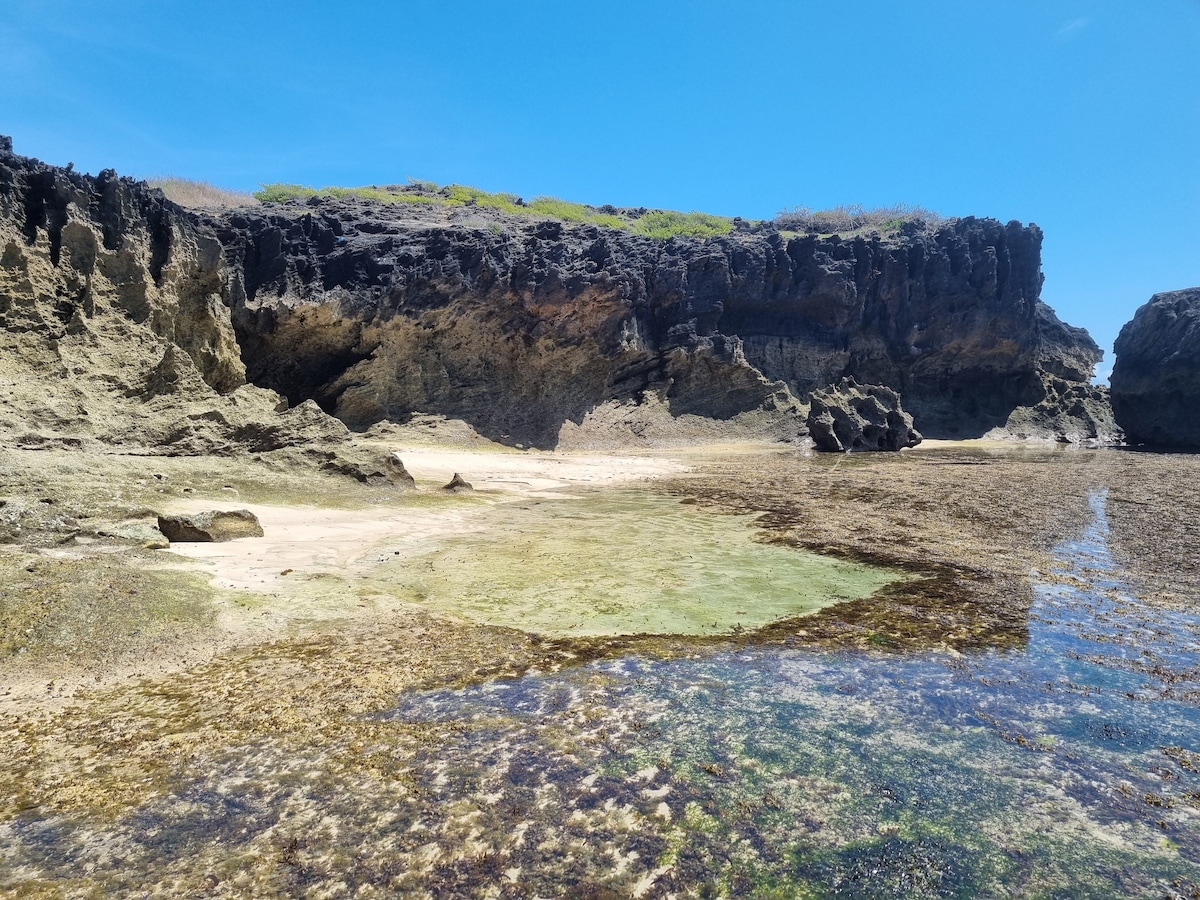 A rocky coastline is depicted, with rugged cliffs in the background and a shallow area of water in the foreground. Various shades of brown and green seaweed are visible on the sandy beach. The clear blue sky casts a bright light over the natural landscape.