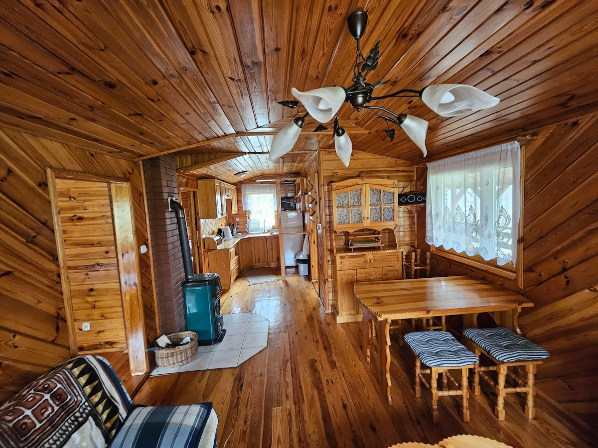 The interior features warm wooden walls and flooring, creating a cozy environment. A rustic dining table with patterned chairs is positioned beside a window, allowing natural light to fill the space. A functional kitchen area is visible in the background, enhancing the homey feel.