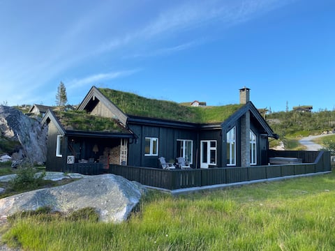 Cozy new cabin in the high mountains