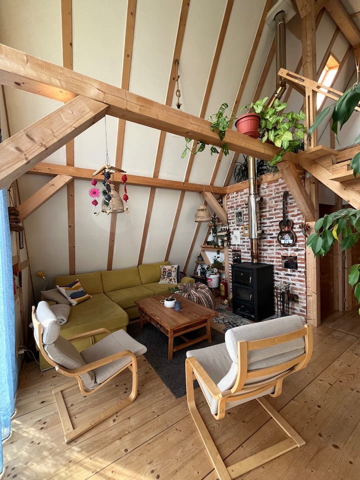 Cozy Frame House In The Wood. - Elin Pelin