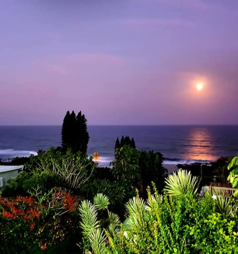 Entire Seafront Selfcatering Beach House