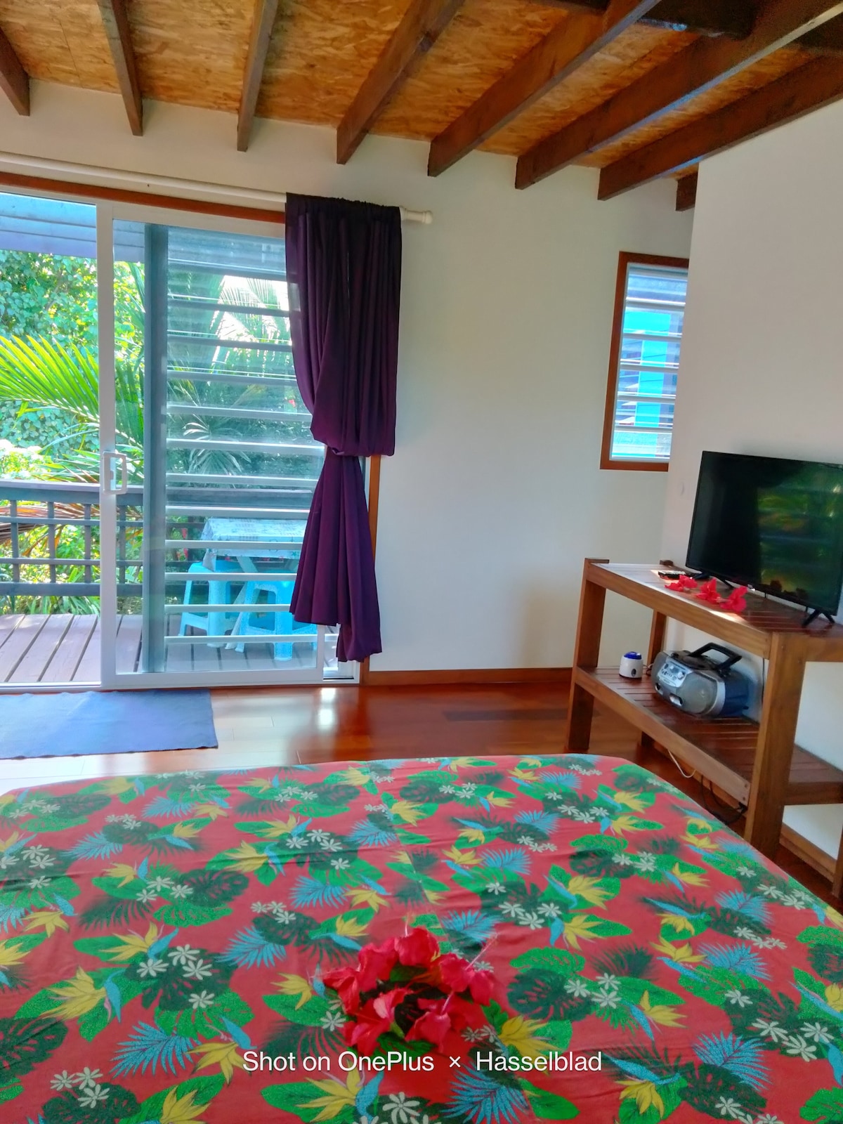 A spacious room is presented with a vibrant floral bedspread. Natural light filters through glass sliding doors, leading to a small outdoor deck. A television is placed on a wooden stand alongside decorative items, complemented by soft purple drapes that frame the window.