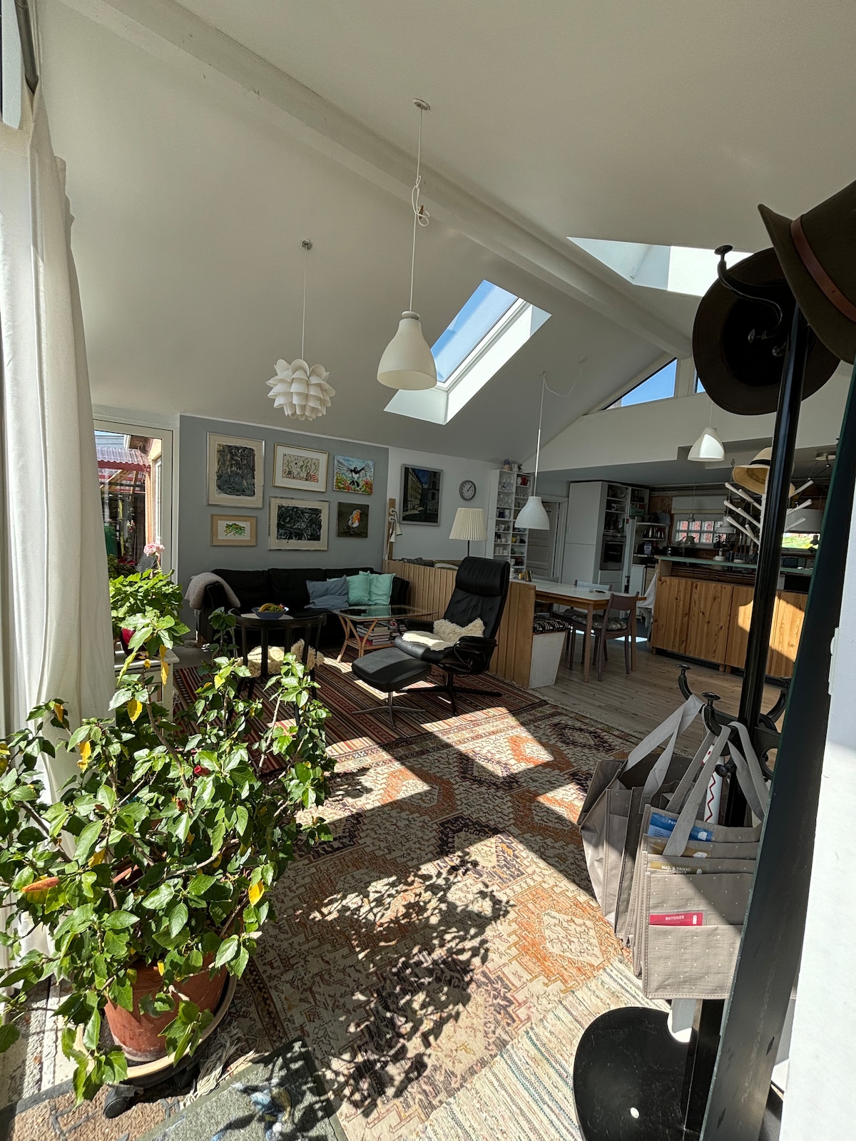 The open living area is filled with natural light from skylights. A cozy seating arrangement includes a chair and sofa, complemented by a dining area in the background. Greenery from potted plants adds a fresh touch to the harmonious space, which features stylish decor.