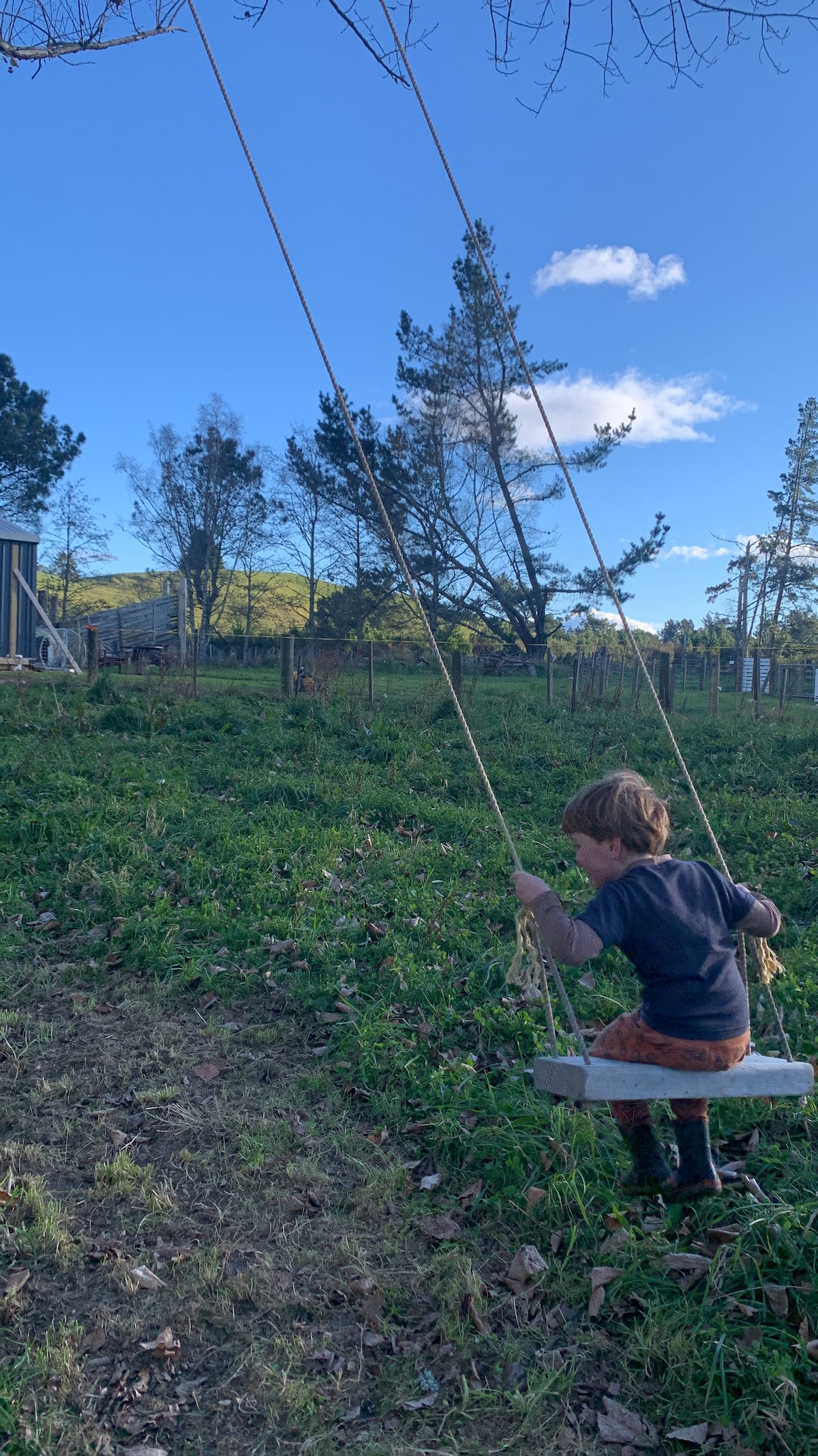 A child is seen enjoying a wooden swing, set against a backdrop of lush green grass and trees. The sky is bright blue with scattered clouds, contributing to a serene outdoor environment.