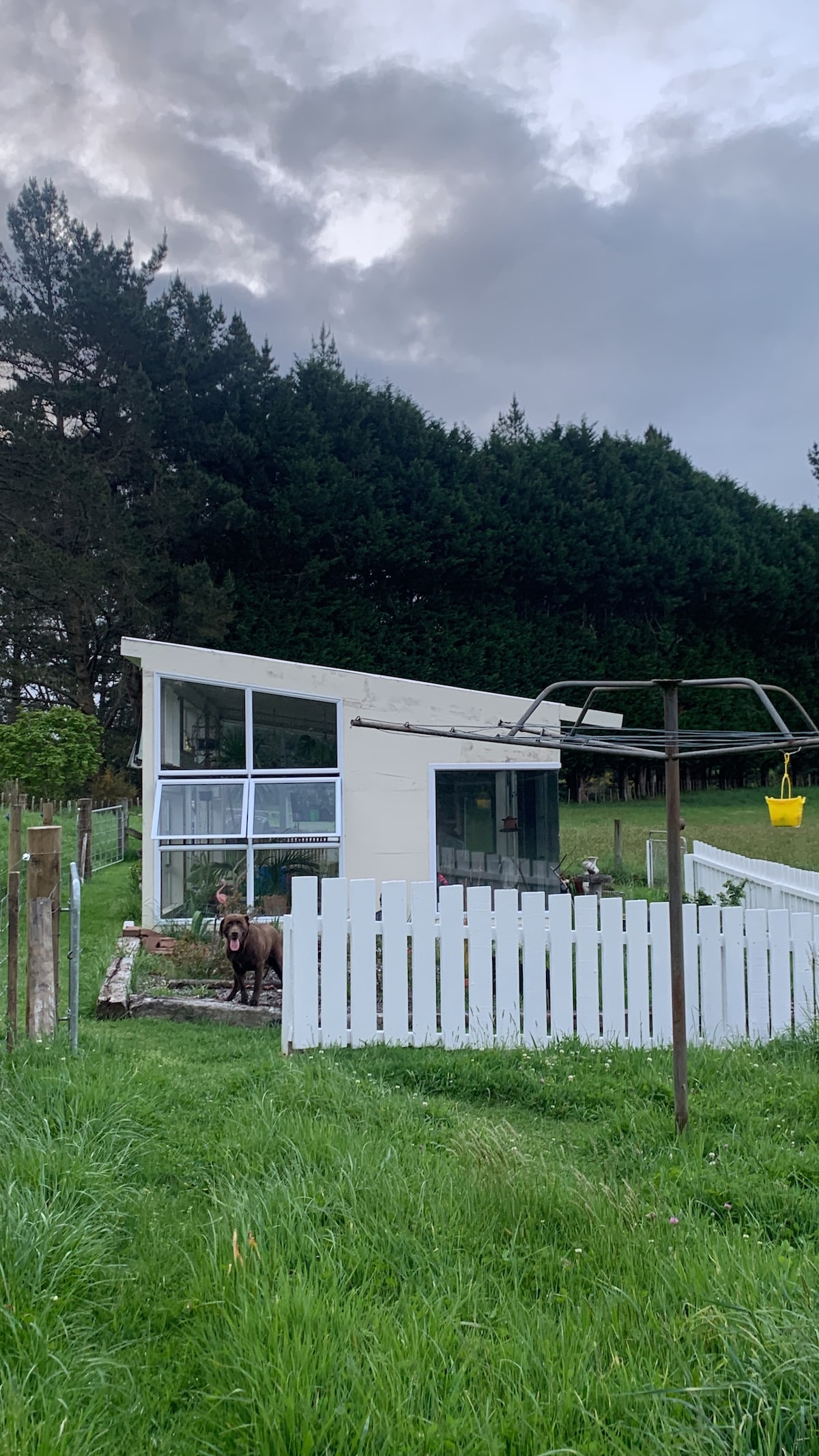 A modern cabin is displayed against a backdrop of tall trees, showcasing large glass windows that invite natural light. A white fence surrounds the property, while a swing set is positioned nearby, emphasizing the outdoor space. A dog can be seen in the yard, adding to the tranquil atmosphere.