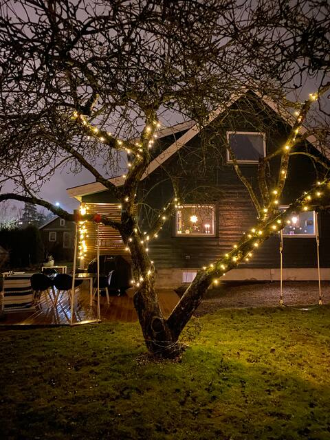 Cosy and family friendly house