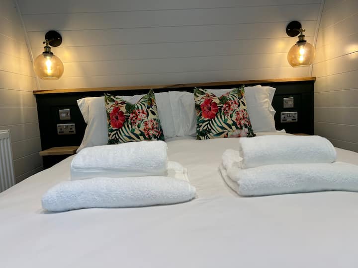 Quarto 5