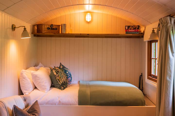 Quarto 1