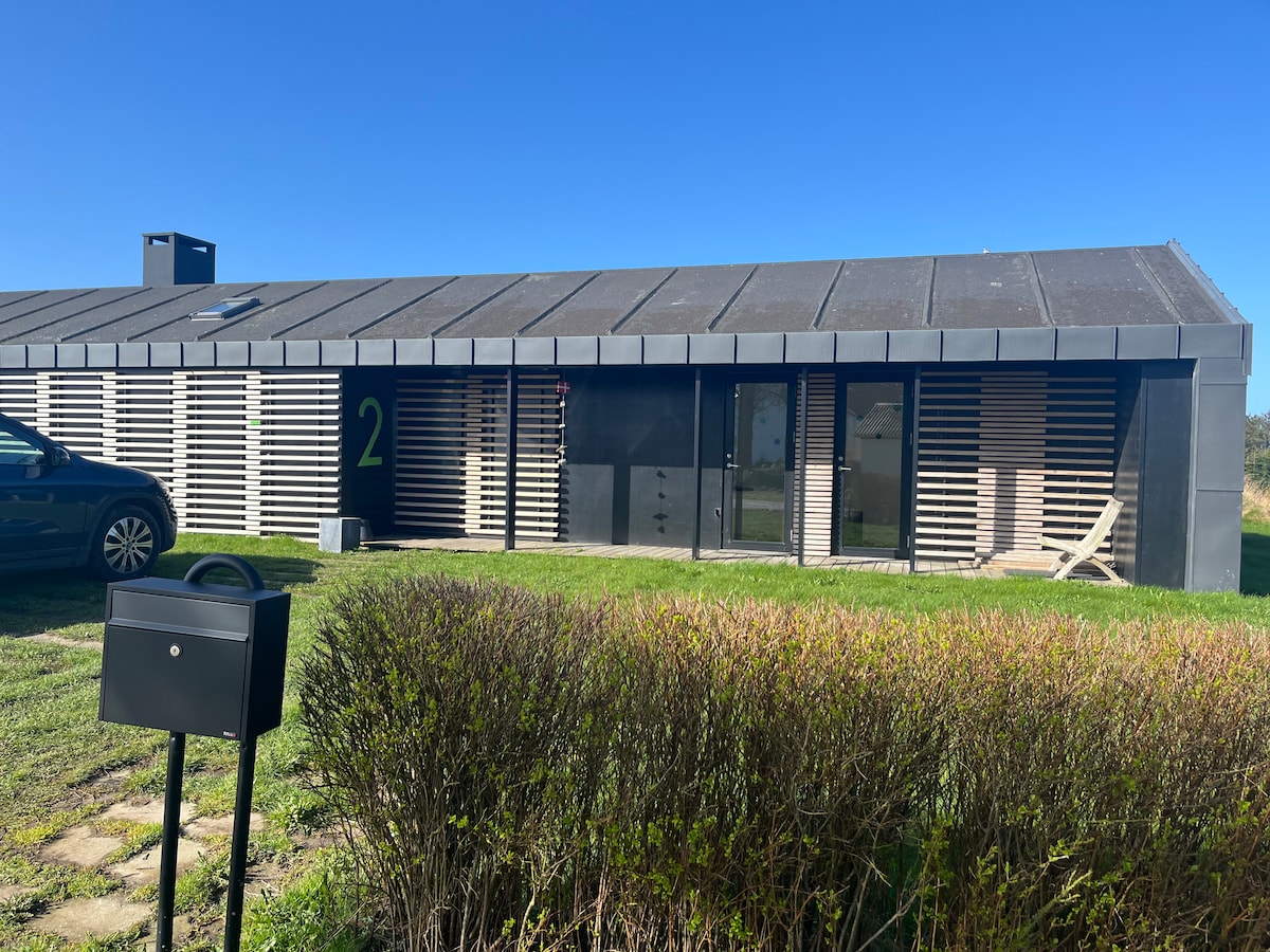 A modern one-story home features a sleek exterior with a combination of dark panels and slatted wood elements. Large windows allow for natural light, while a plush green lawn and landscaped shrubs provide a welcoming approach. A mailbox stands in the foreground.