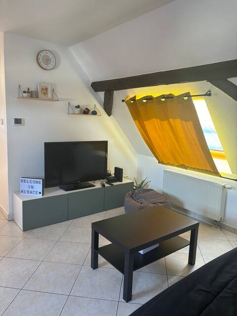 Cozy 2 room apt at the gates of Strasbourg