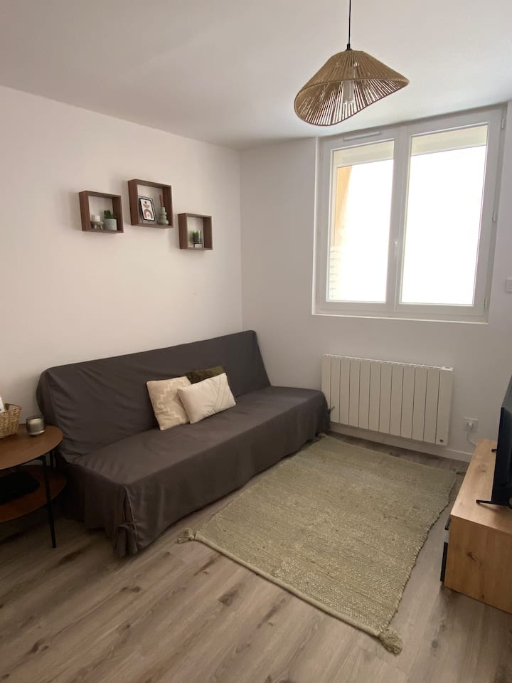 Appartement Proche Cnpe Et Pipa - Ambérieu-en-Bugey