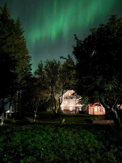 Auðsholt 2,  The old house