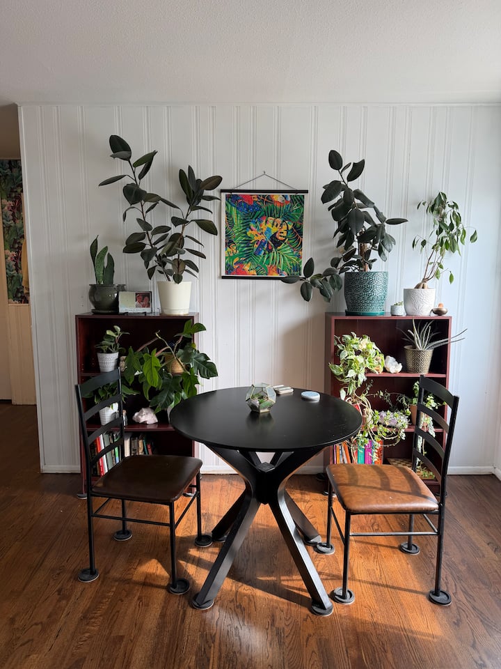 Cozy Room In Wheat Ridge Plant Home - Golden, CO