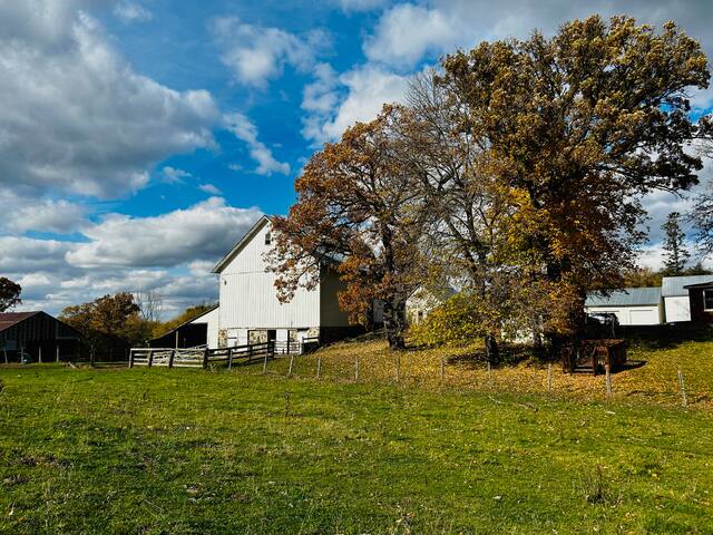 Lovett Farm on Shady Lane gallery image 5