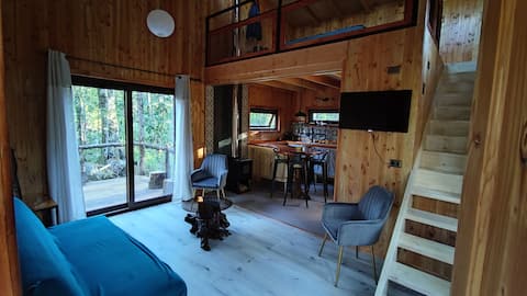 Top performing Airbnb: Refugio Kodama in Panguipulli
