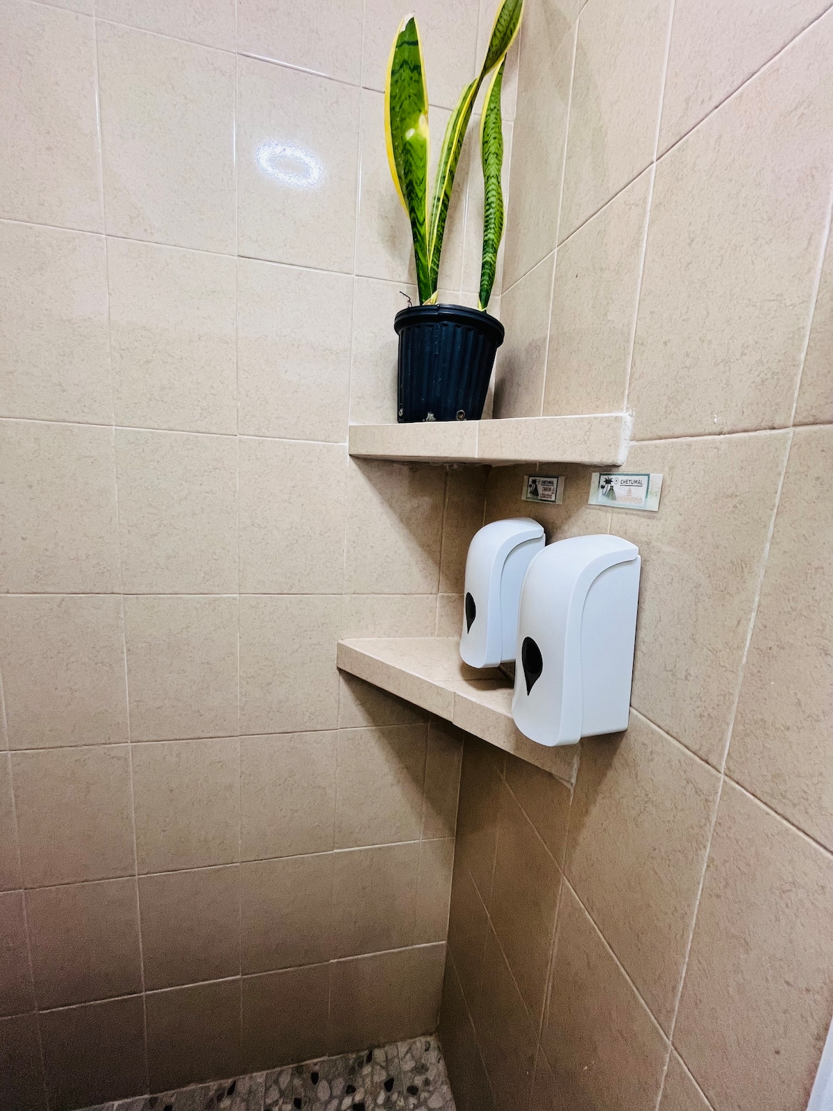 A clean and functional bathroom corner displays two soap dispensers mounted on light beige tiled walls. A small, potted plant adds a touch of greenery above a smooth, solid shelf. The floors are finished with small, natural stone tiles.