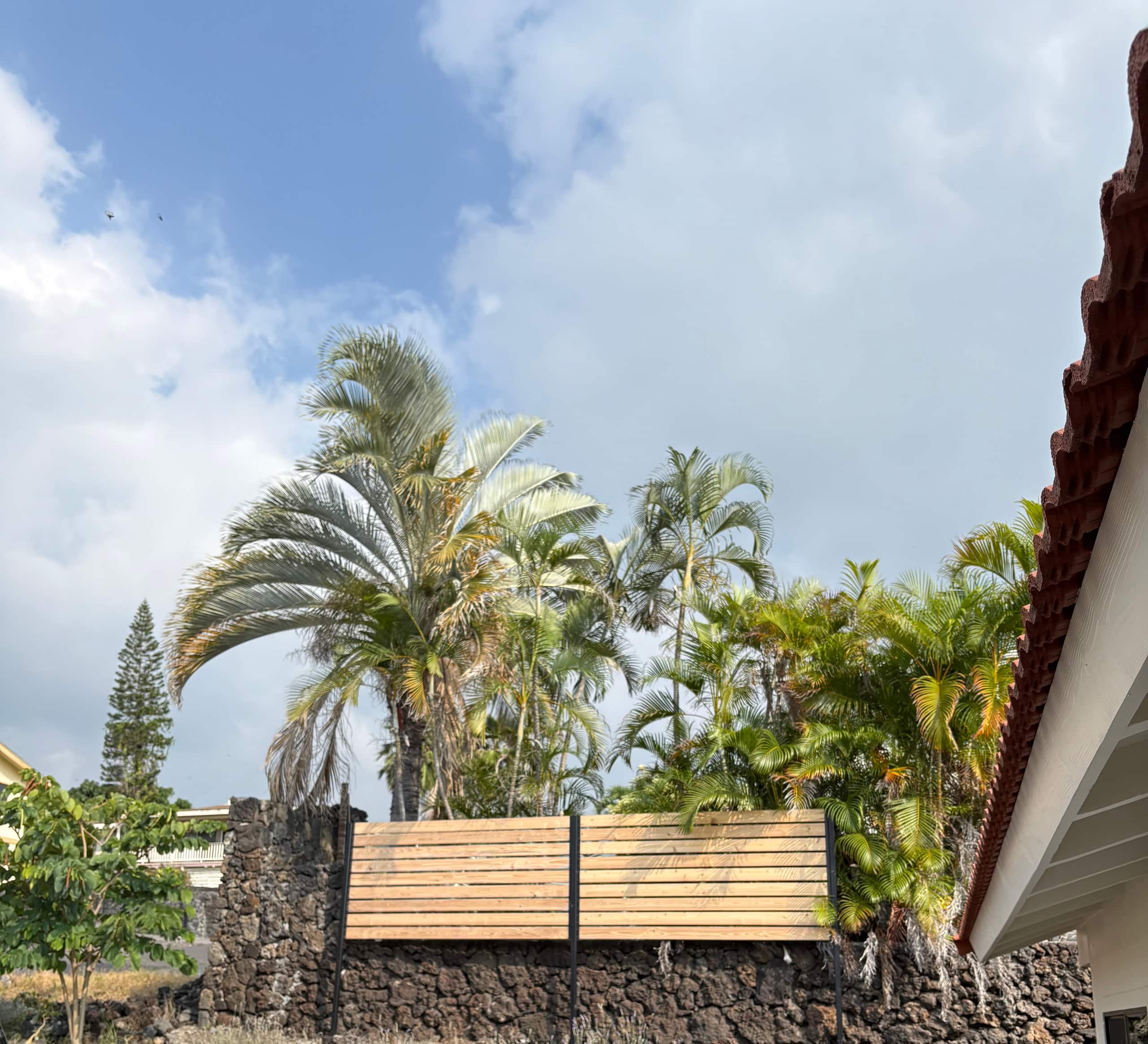Guesthouse in Kailua-Kona · ★4.85 · 1 bedroom · 1 bed · 1 shared bath - Image 42