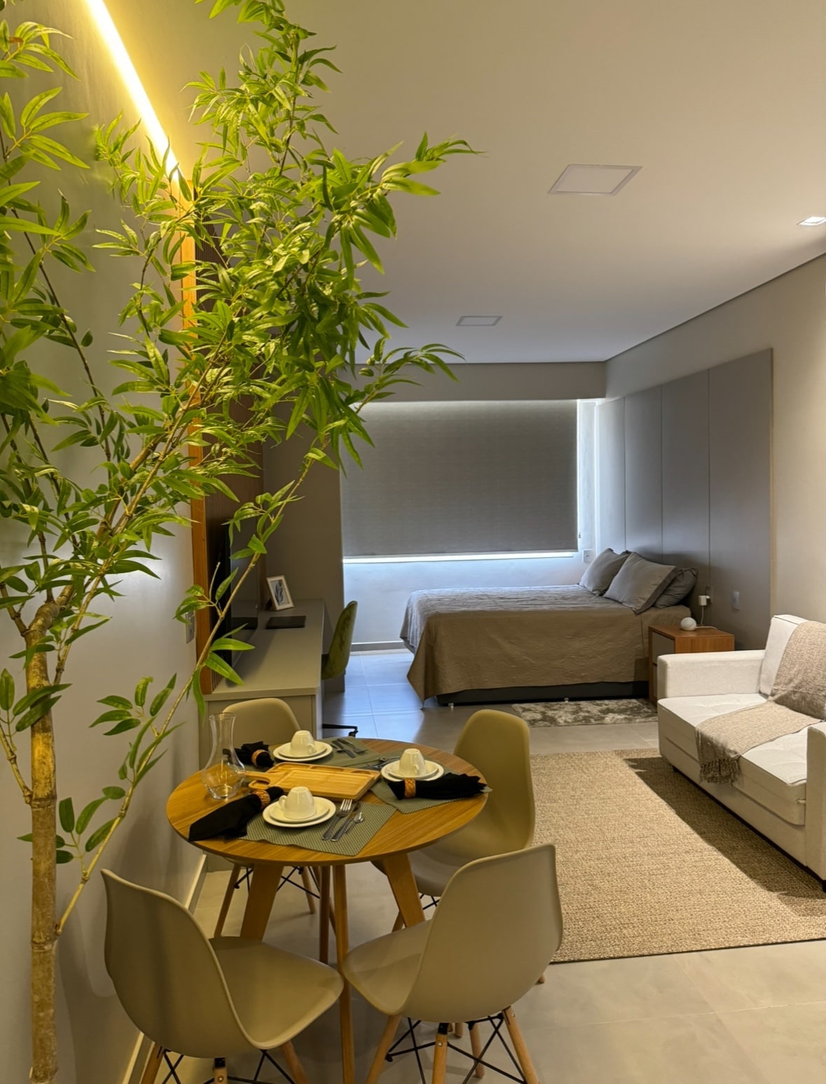 A spacious studio is depicted with a cozy sleeping area featuring a queen size bed. A small dining table with four chairs is positioned nearby. A potted plant adds a touch of greenery. Natural light filters through the window with shades, creating a warm ambiance.