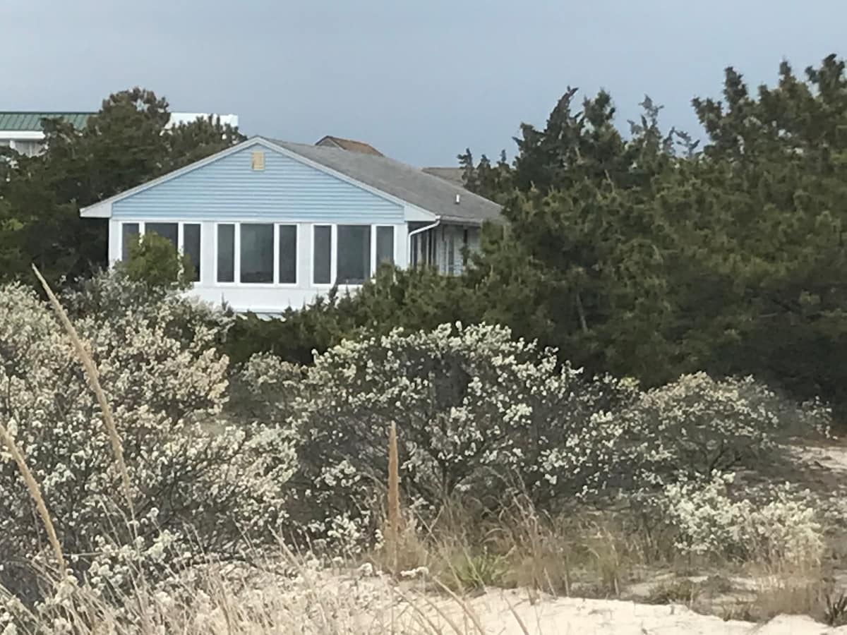 A quaint beach cottage is surrounded by natural dunes and coastal vegetation. The structure features a sunroom with large windows, allowing for ample light. The muted blue exterior complements the serene environment, with sandy paths leading through the soft, blossoming shrubbery.