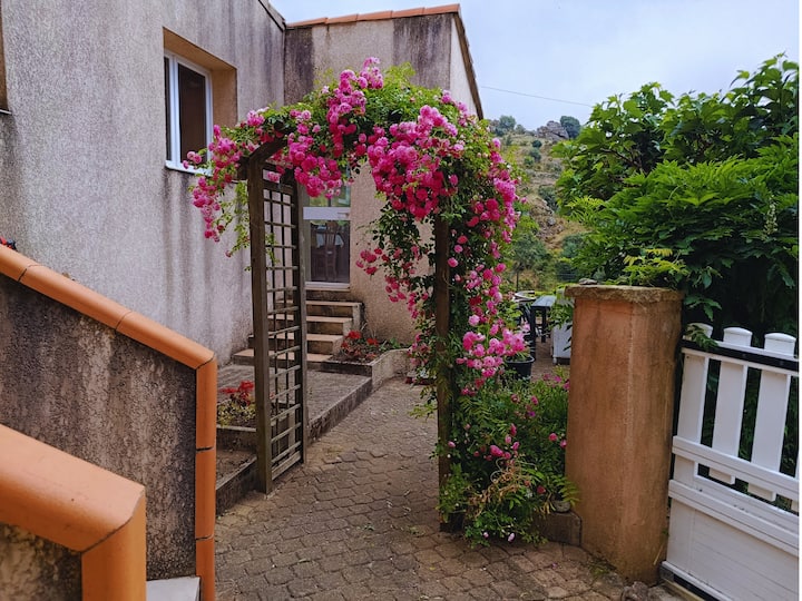 Studio Cosy Proche Plages & Bains Thermaux - Corse-du-Sud