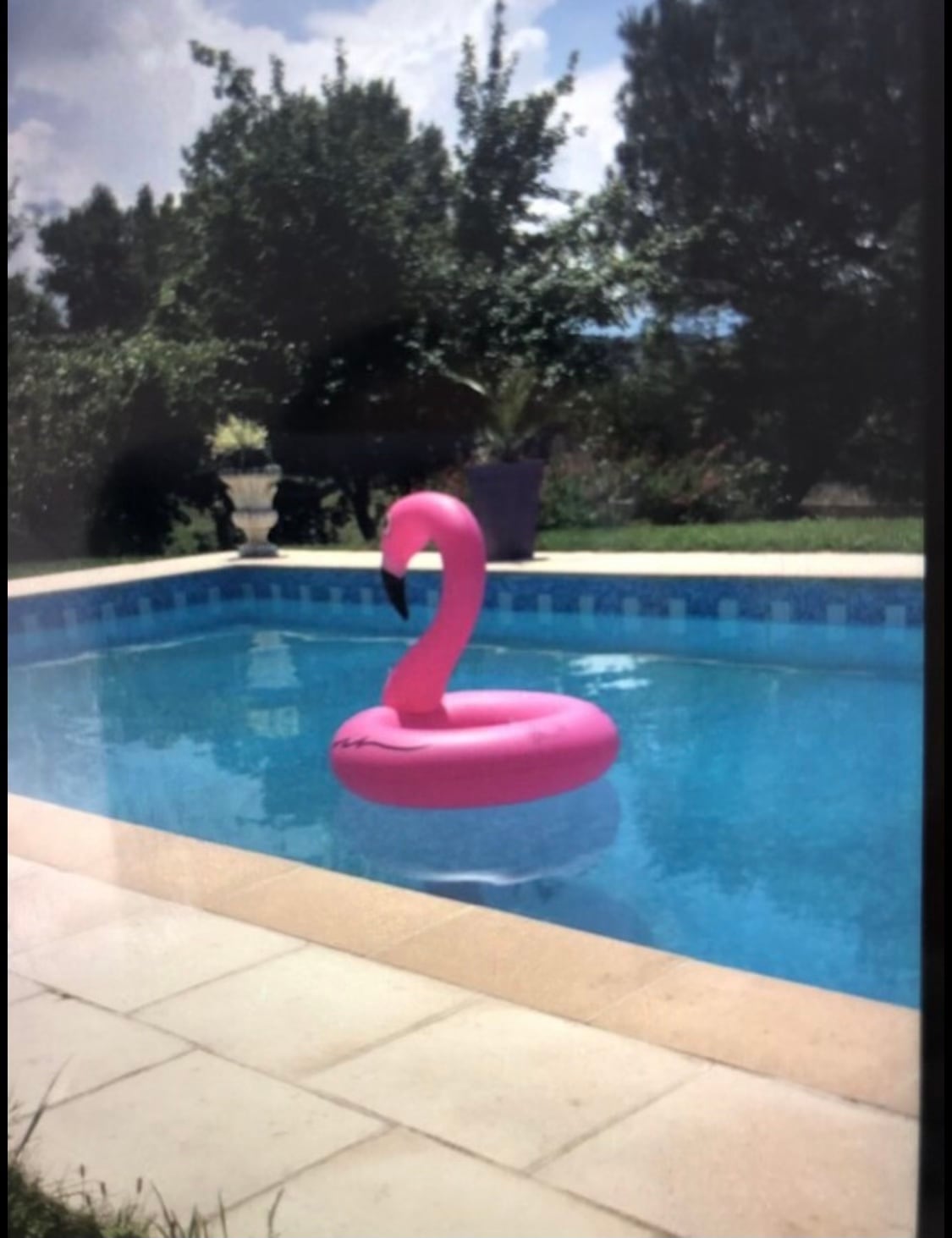 A large swimming pool is featured in the image, surrounded by pale stone tiles. A pink flamingo float is positioned in the center of the clear water, while greenery is visible in the background, creating a serene outdoor space.