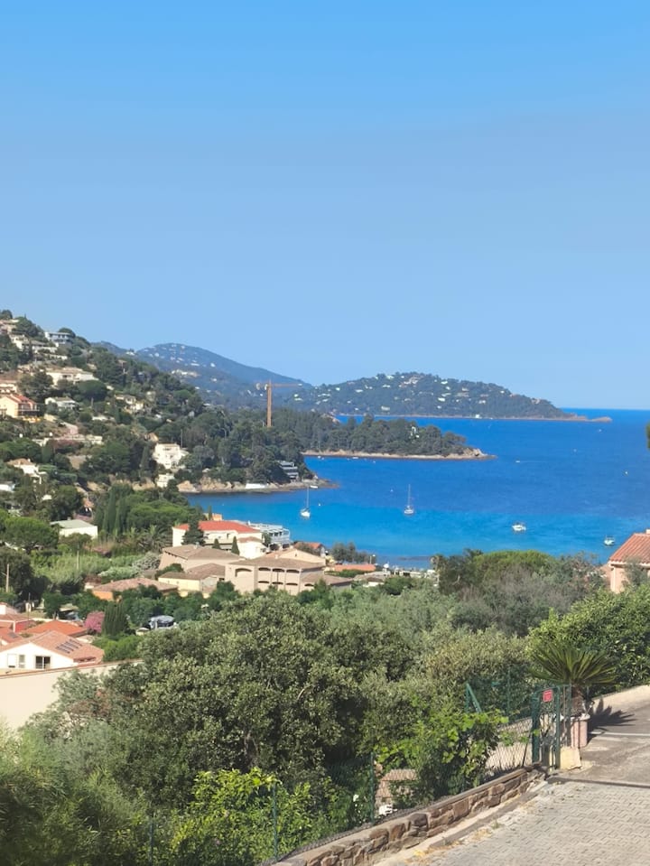 Appartement Marisa St Clair Le Lavandou - Le Lavandou