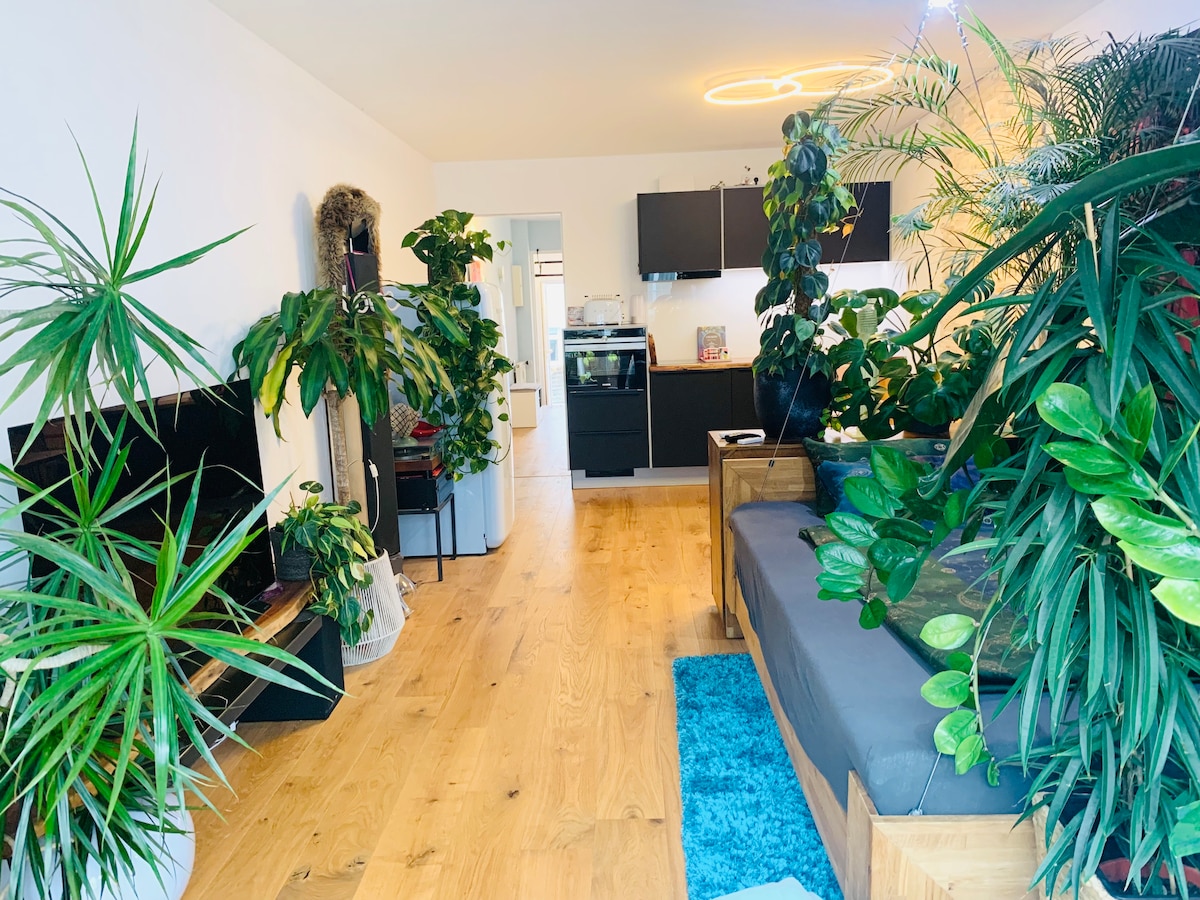 A living area filled with an array of lush green plants surrounds a comfortable seating area. A dark sofa faces a television, while a kitchen can be seen in the background. Warm wooden flooring complements the vibrant foliage throughout the space.