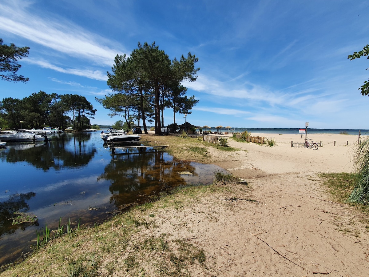 A tranquil landscape depicts a sandy path leading to a lake, bordered by lush greenery and wooden boats moored nearby. The clear water reflects the blue sky, while a beach area opens up in the distance, framed by towering trees.